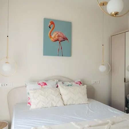House Flamingo Apartment *